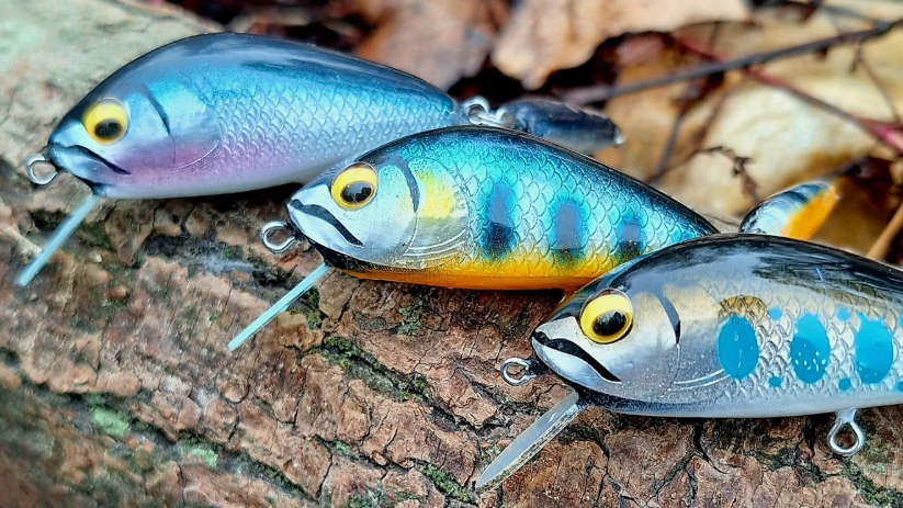 colori esche